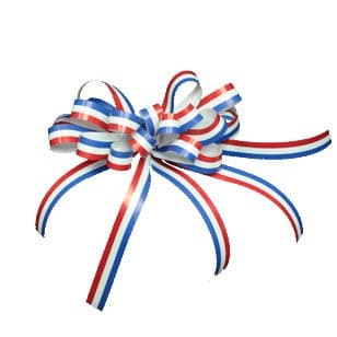 Red White and Blue Bow