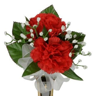 Red Carnation with Babys Breath