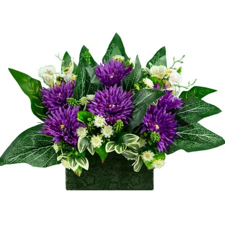 Purple Chrysanthemums