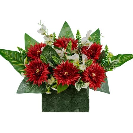 Red Chrysanthemums