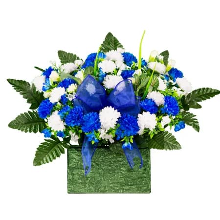 Blue and White Mum