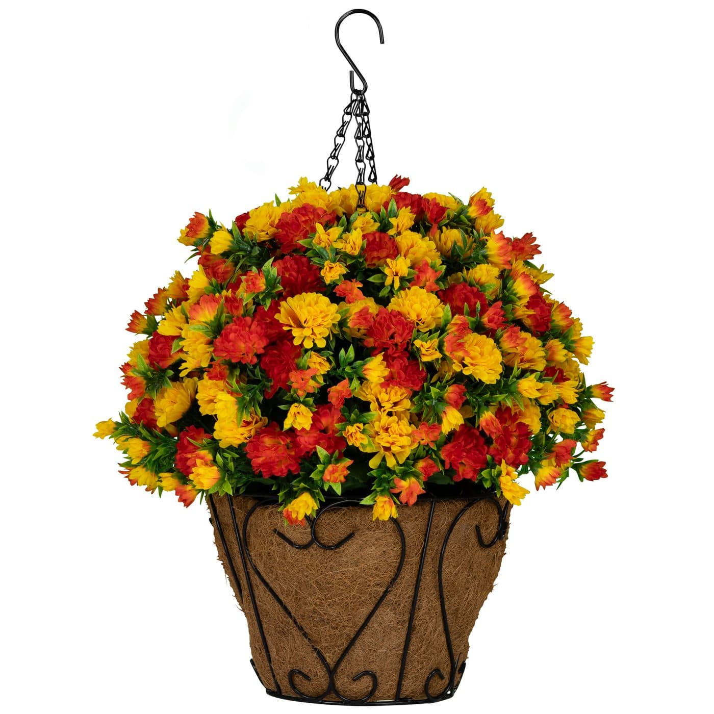 Sunset Orange Mums