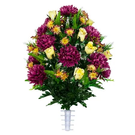 Plum Mum and Cream Pink Rose