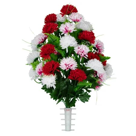Red and White Mums