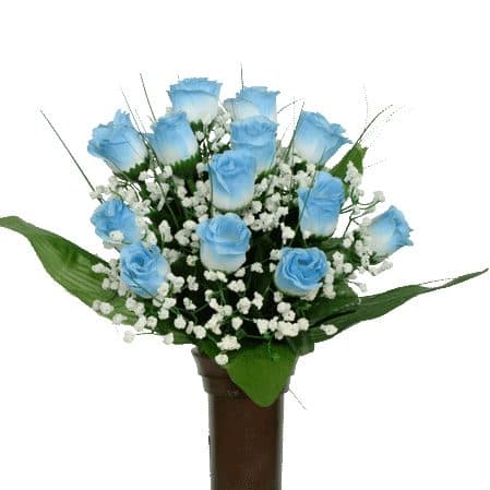 Blue Roses