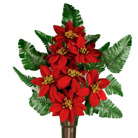 Red Poinsettias
