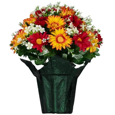 Red and Orange Daisies