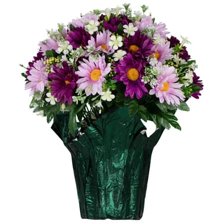 Pink and Purple Daisies