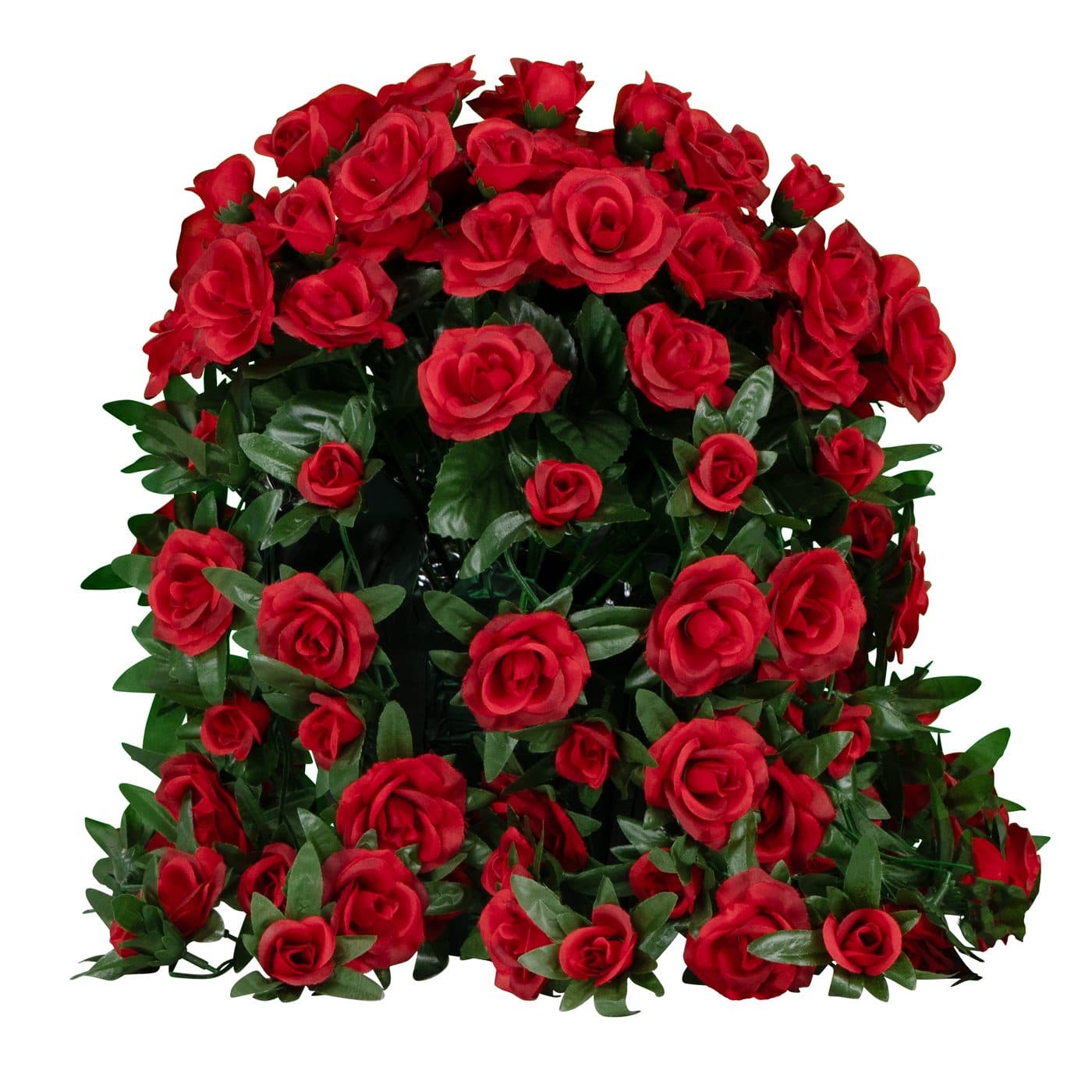 Trailing Red Rose Pot
