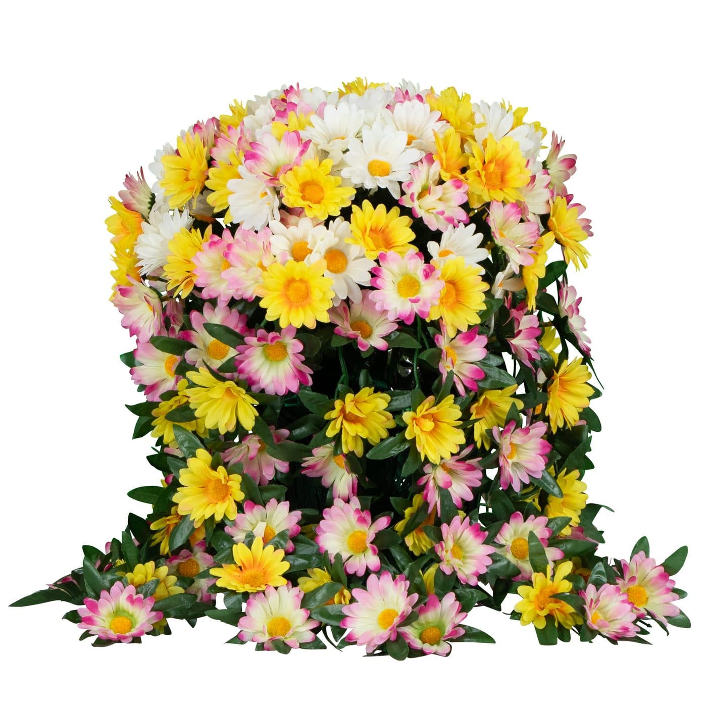 Trailing Yellow White and Pink Daisies Pot