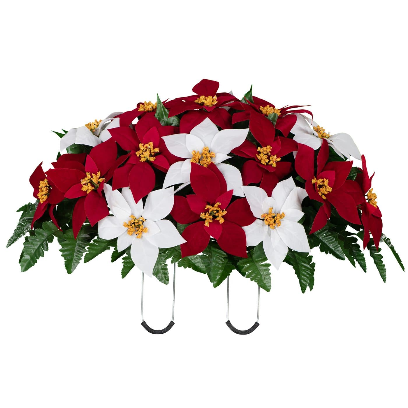 Red and White Poinsettia