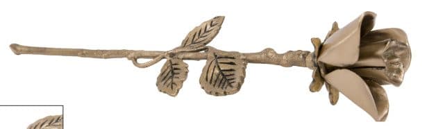 Rose Stems — Keepsake